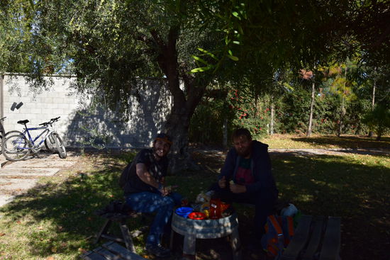 Picknick unterm Olivenbaum