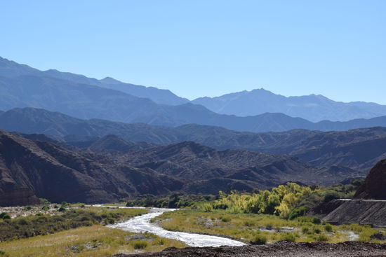 Eine Oase mitten in der Wüste