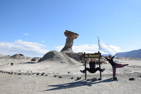 Im Hintergrund sieht man den Pilz