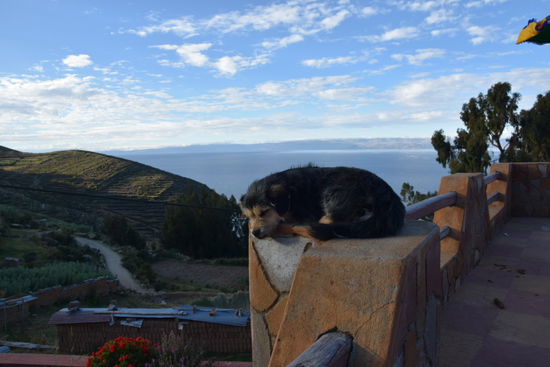 Der beste Platz für ein Nickerchen