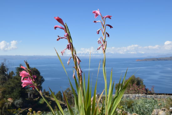 Im Garten von unserer Unterkunft