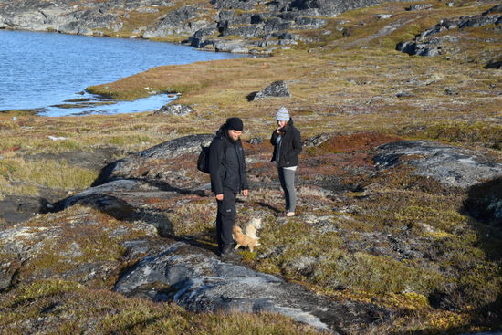 Die Welpen begleiteten uns den ganzen Spaziergang über.