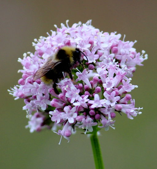 Farben, Gerüche und leise Töne........Norwegens Welness- und Animationsprogramm