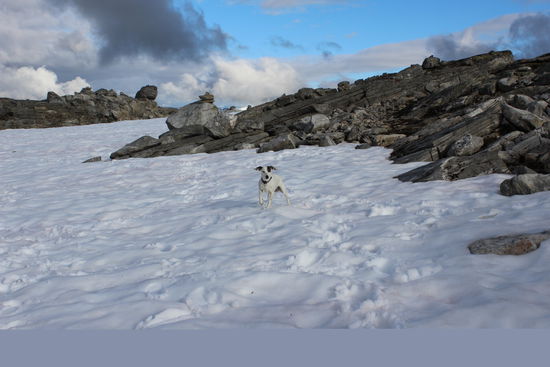 Emma und Pauline freuten sich, nach der langen Autofahrt endlich wieder einmal toben zu können.