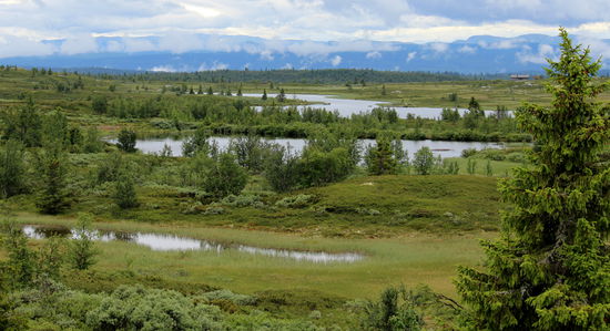 Spaziergang am Peer-Gynt-Vegen.