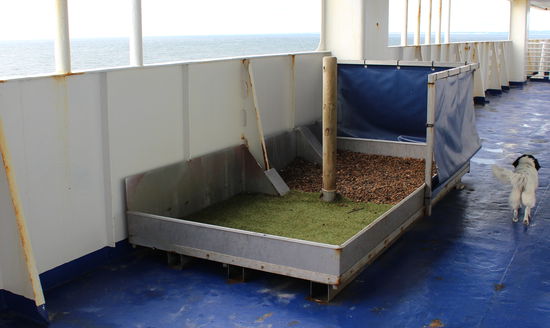Die Hundetoilette der Stena Line