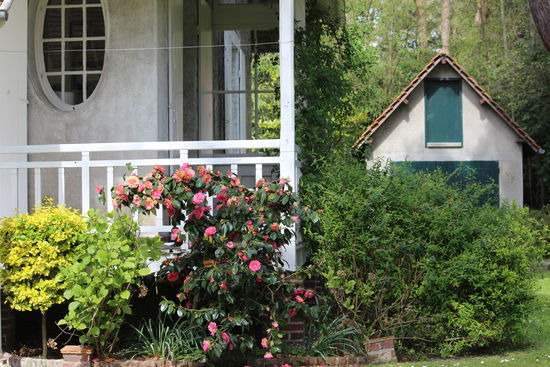 Der Garten: verspielt, verwunschen und natürlich schön.