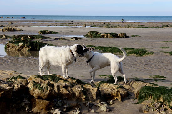 Zwei, die sich immer verstanden: Pauline und Emma