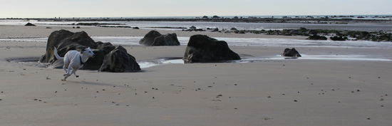 Endlich hatte unsere kleine Emma genug Platz zum rennen.