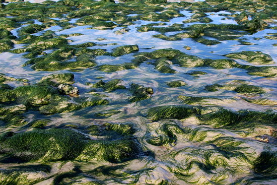 Die Bilder waren gerettet. Aber die schönsten Bilder würde ich sowieso für immer in meinem Herzen tragen. 
Wer nun meint, einen solchen Urlaub nachmachen zu müssen und auch auf die Idee kommt, mit vielen erwachsenen Kindern und möglicherweise auch Enkelkindern auf diese Art und Weise zu verreisen, dem sage ich: Ja, tut es, aber lest zuvor die Zwischentöne im Kapitel "Résumé", damit Ihr gut vorbereitet seid!
