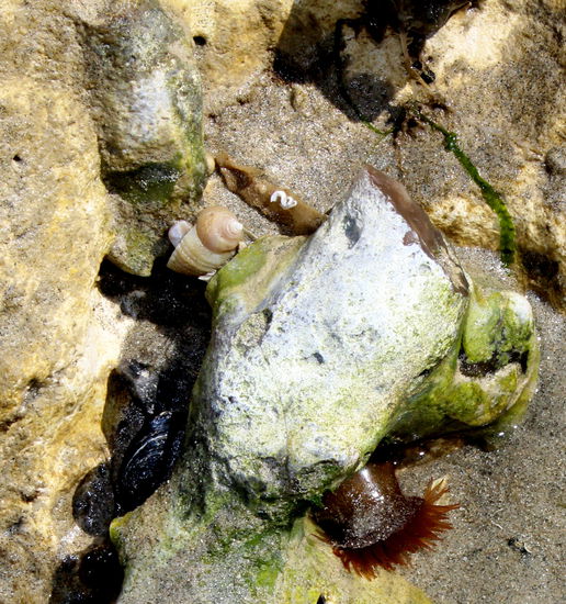 Hier gab es alles für den Biologieunterricht.