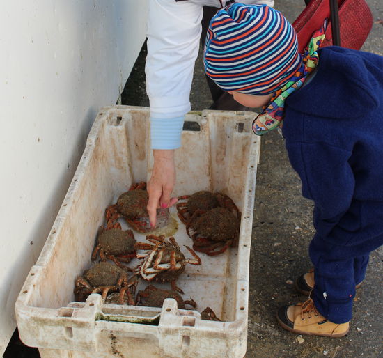 Bei den Fischer in Quiberville.