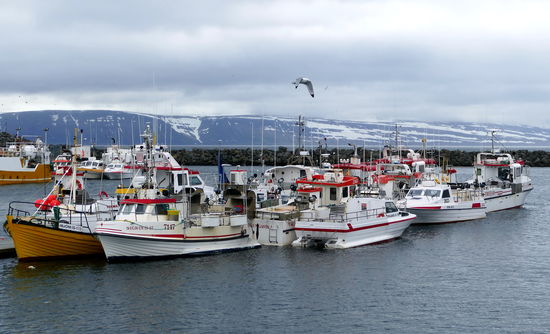 Am Hafen von Bolungarvik