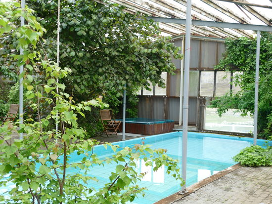 Das Schwimmbecken im Gewächshaus mit ungechlortem, stets nachlaufendem geothermalem Wasser