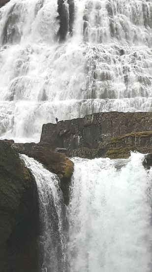 Weiter kam sie nicht!