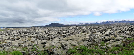Weite Felder mit moosbewachsenem Lavagestein