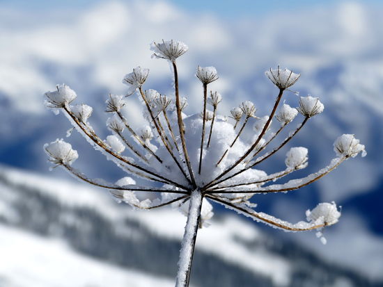 Immer gibt es etwas zu entdecken