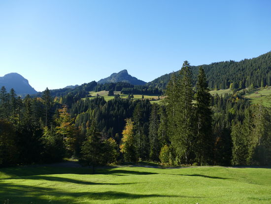 Typisches Landschaftsbild im Kleinwalsertal