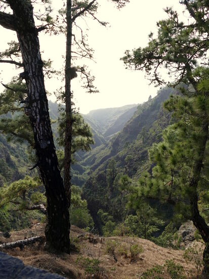 Auf dem Weg in den Nordwesten von La Palma