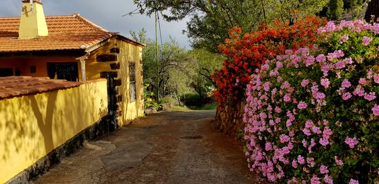 Zufahrt zum Parkplatz unserer Finca