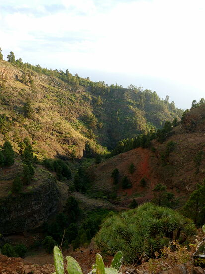 ............und bei unserer Finca empfing uns der Barranco im Abendlicht