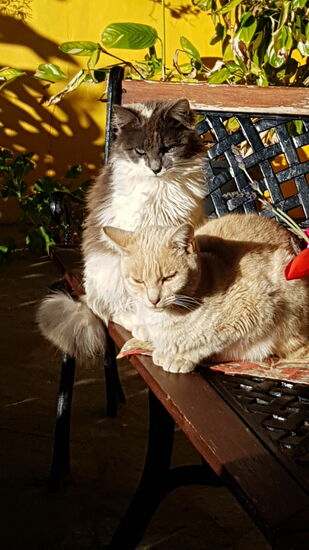Tägliche Besucher