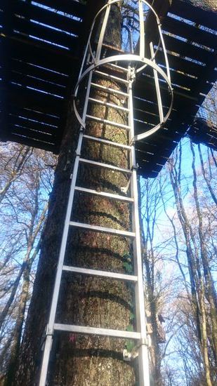 Da mussten wir erstmal hoch