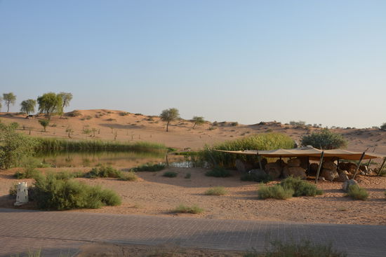 Eine Wasserstelle im Resort