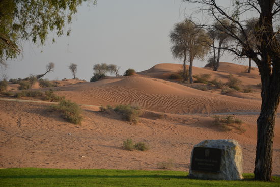 Die Aussicht von der Falkenshow