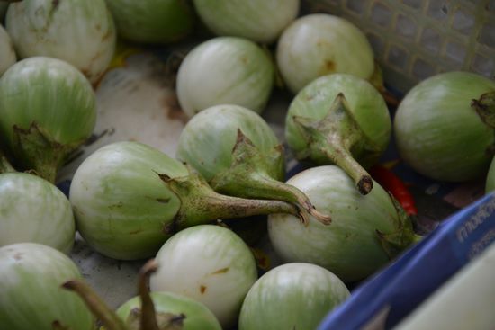 Für alle zum Nachkochen: Dies sind Auberginen (die tomatengroßen weiß-grünen)