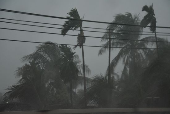 Stürmischer Tropenregen