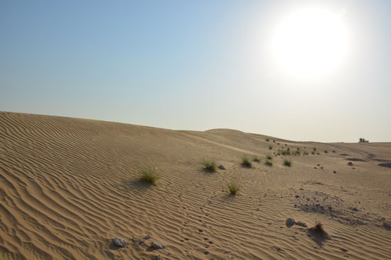 Zwischen den Steinen fanden wir auch einen Wirbelknochen einer Antilope.
