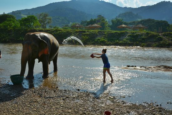 Beim Elefanten waschen