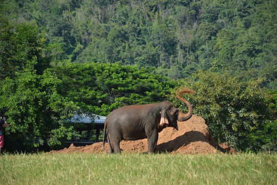 Nach der Wäsche erst mal wieder dreckig machen 