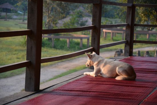 Wir sind nicht die einzigen,  die schon zum Sonnenaufgang wach sind 