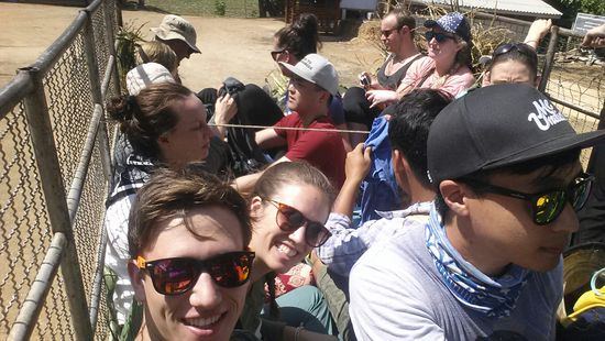 Rückfahrt auf dem Truck und auf einem Teil der Ernte 