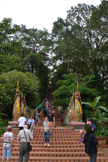 Treppe zum Wat Phra That Doi Suthep