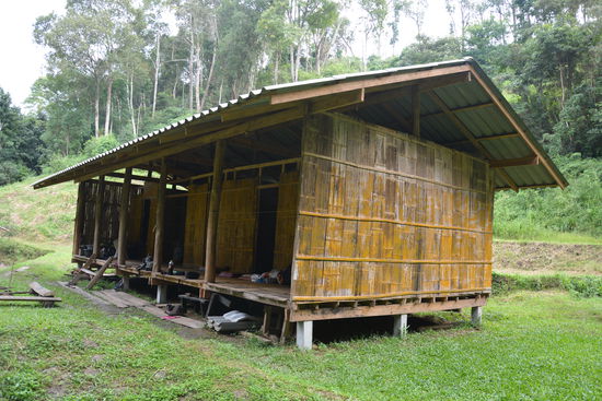 Die Old-Ricefield-Eco-Lodge