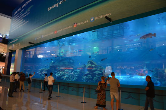 Das Aquarium von vorne. Wenn man hinter die Absperrung wollte, musste man Geld bezahlen...