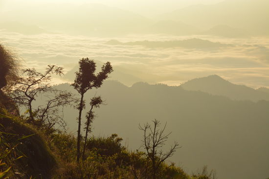 Irre Lichtverhältnisse !