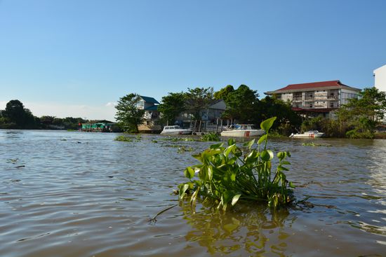 Der Fluss war nicht ganz so dreckig wie einige andere Flüsse, die