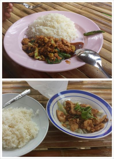Mittagessen vom Foodcourt, der aus einfachsten Bambushütten bestand. Oben "Basil Chicken" und unten "Garlic and Pepper Chicken"