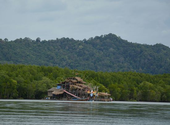 Das Floating House, welches zwischen den Mangroven schwimmt.
