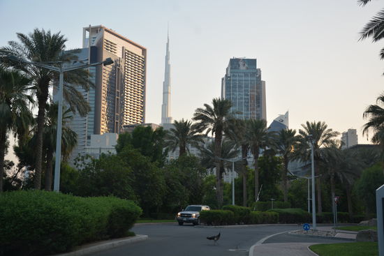 Die Zufahrt der Emirates Tower