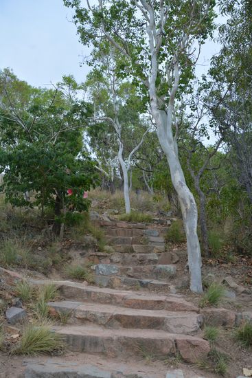 Der Goat Track