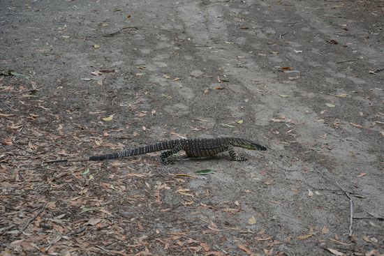 Besuch auf dem Campingplatz