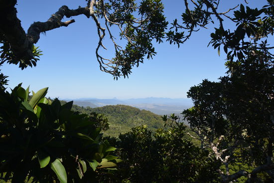 Aussicht aus dem Baumwipfel