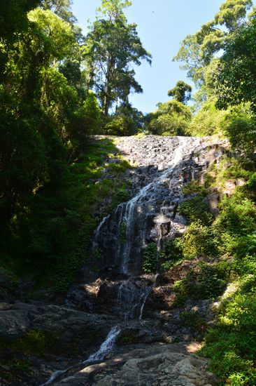 Tristania Falls