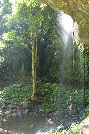 Chrystal Shower Falls