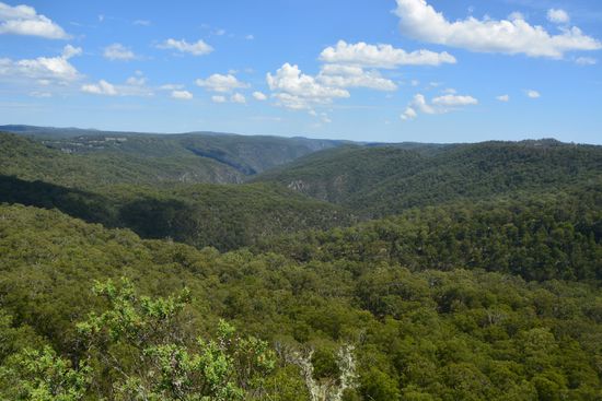 Aussicht in den Guy Fawkes NP